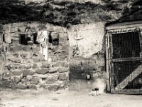 senza titolo-5